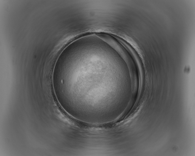 X0000093260577200709261733