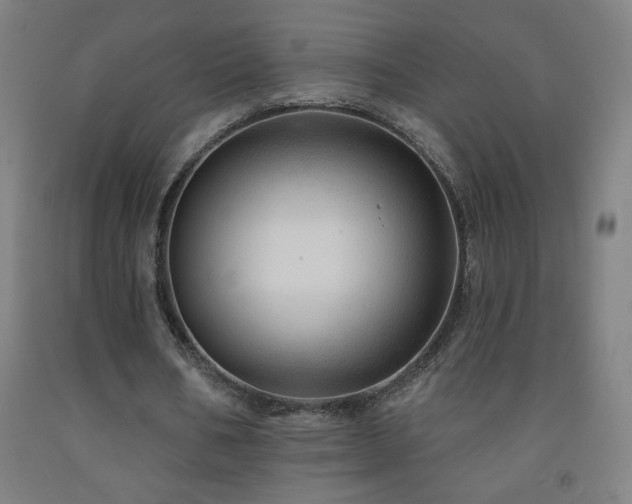 X0000093260578200709261733