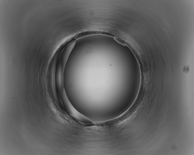 X0000093260580200709261733