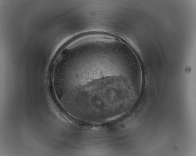 X0000093260584200709261733