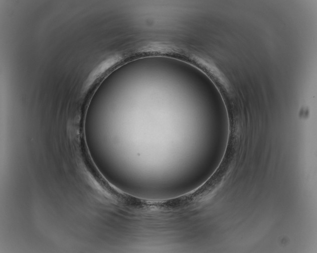 X0000093260585200709261733