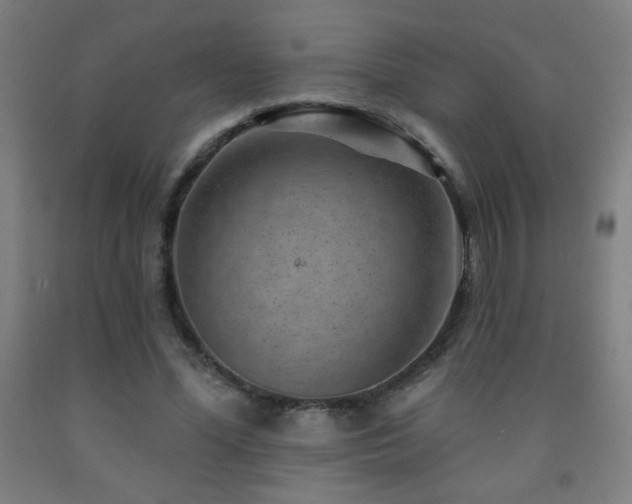 X0000093260588200709261733