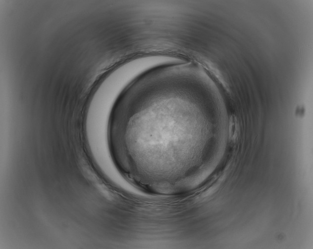 X0000093260589200709261733