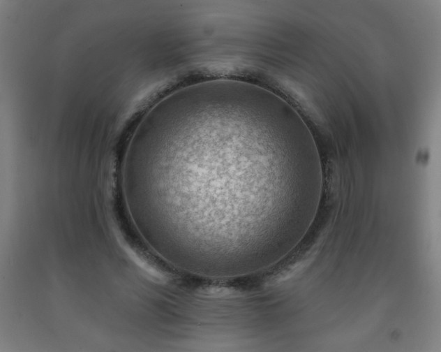 X0000093260590200709261733