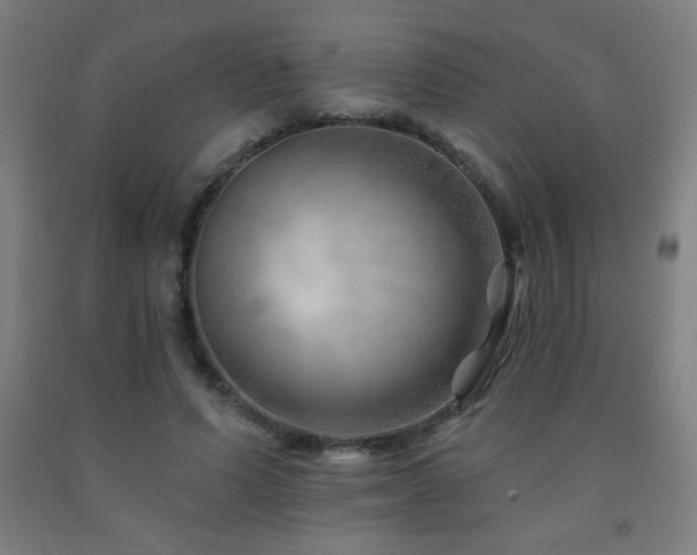 X0000093260591200709261733