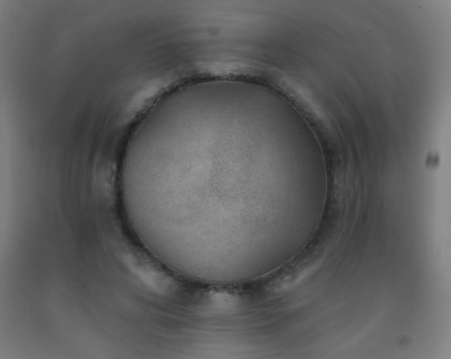 X0000093260592200709261733