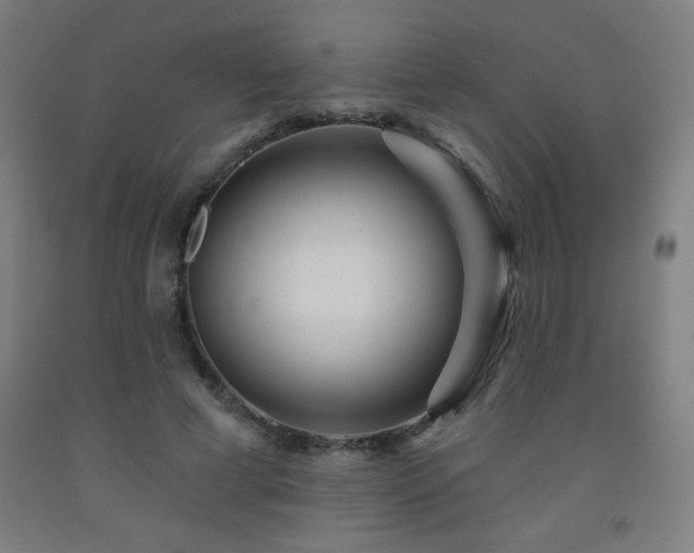 X0000093260593200709261733