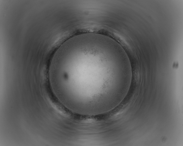 X0000093260594200709261733