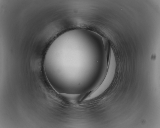 X0000093260595200709261733
