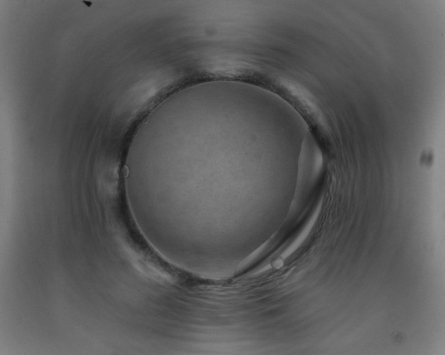 X0000093260596200709261733