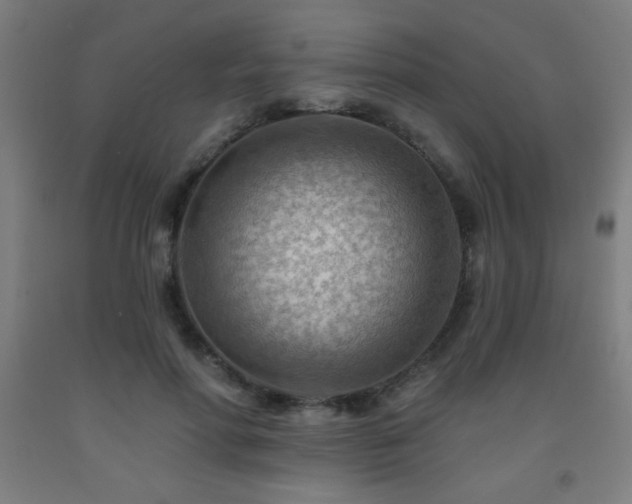 X0000093260598200709261733