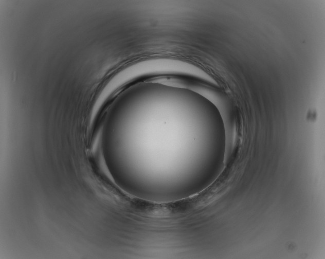 X0000093260600200709261733