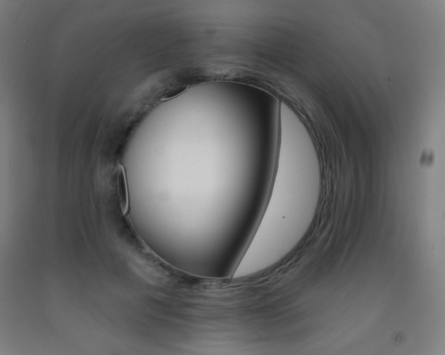 X0000093260601200709261733