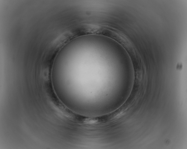 X0000093260602200709261733