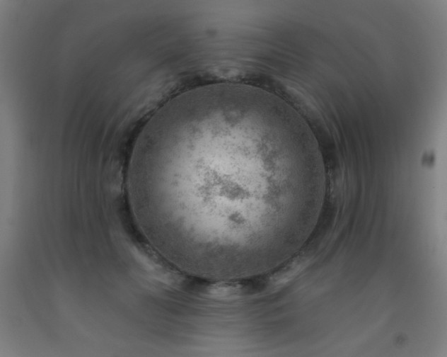 X0000093260606200709261733