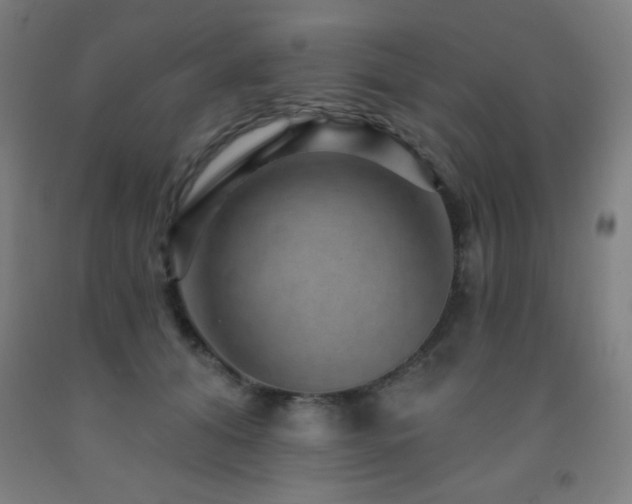 X0000093260608200709261733