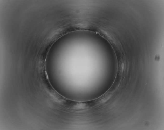 X0000093260609200709261733