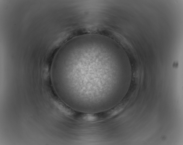 X0000093260610200709261733