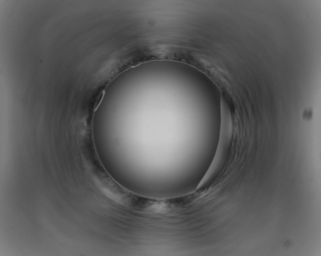X0000093260611200709261733