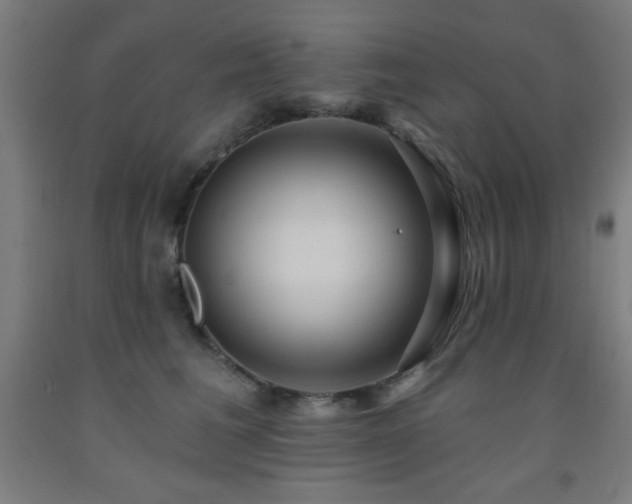 X0000093260613200709261733