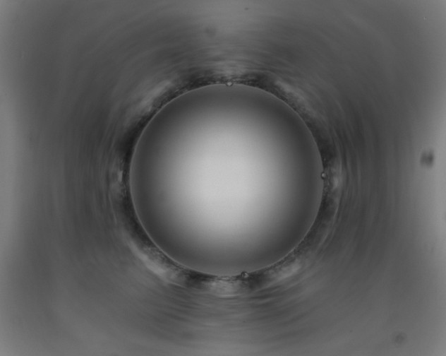 X0000093260615200709261733