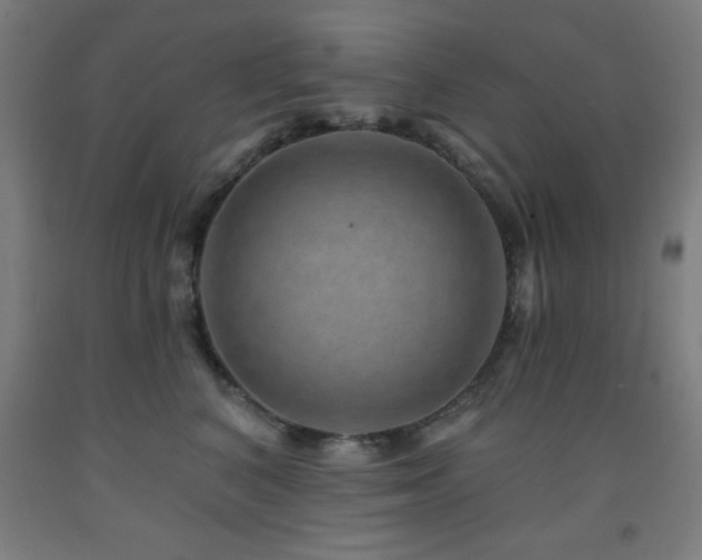 X0000093260616200709261733