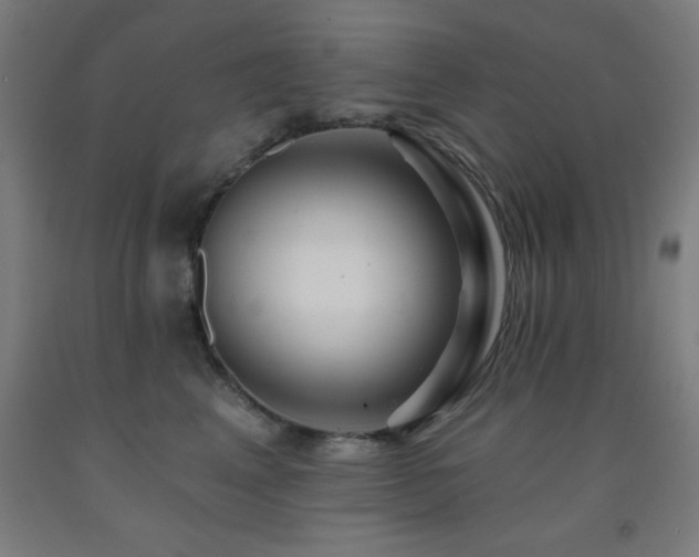 X0000093260617200709261733