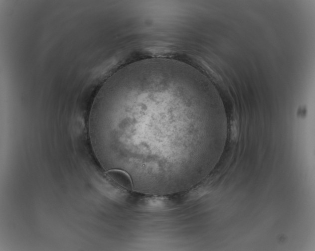 X0000093260618200709261733