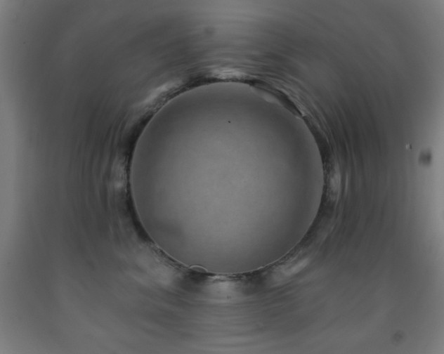 X0000093260620200709261733