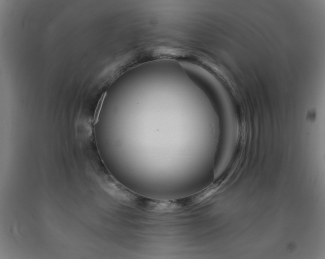 X0000093260621200709261733