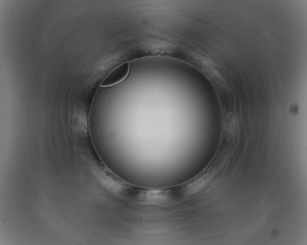 X0000093260622200709261733