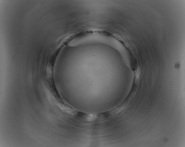 X0000093260623200709261733