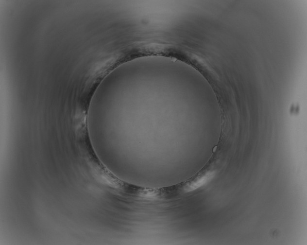 X0000093260624200709261733