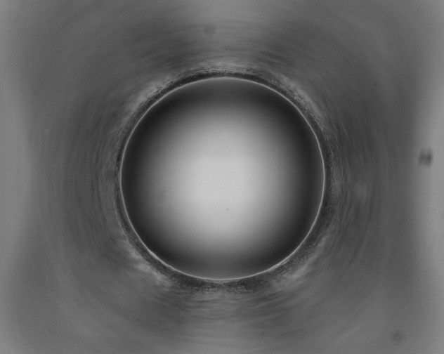 X0000093260625200709261732