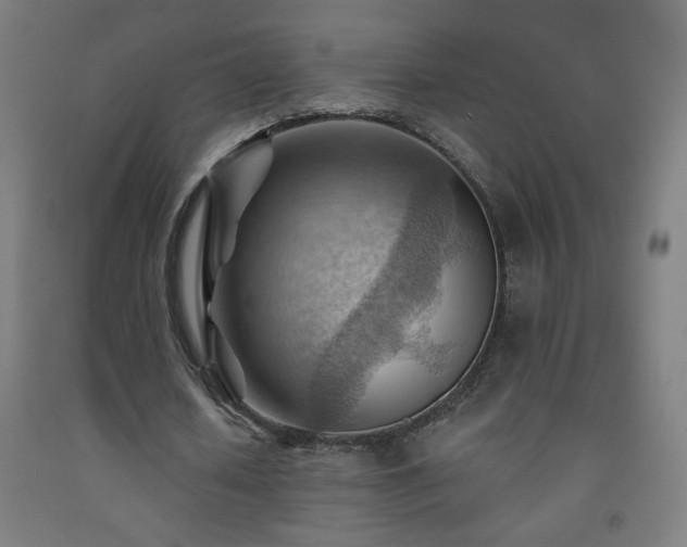 X0000093260626200709261732