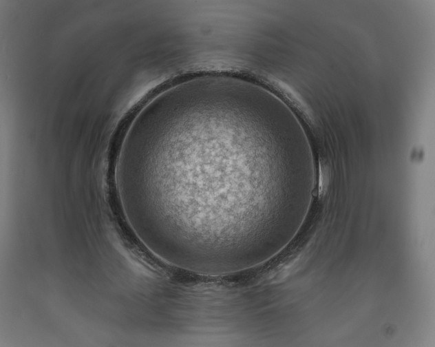 X0000093260627200709261732