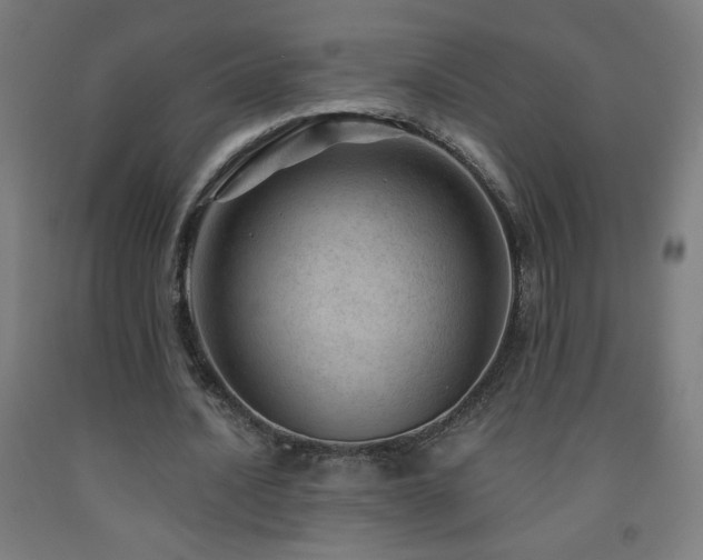 X0000093260628200709261732