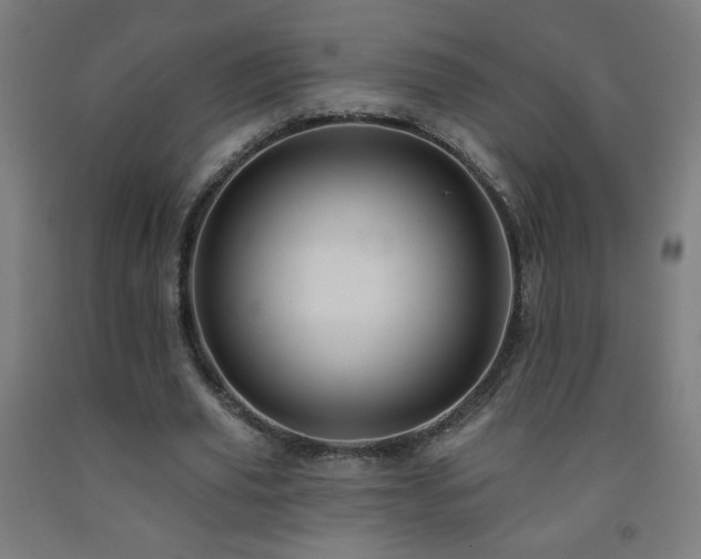 X0000093260629200709261732