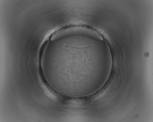 X0000093260630200709261732