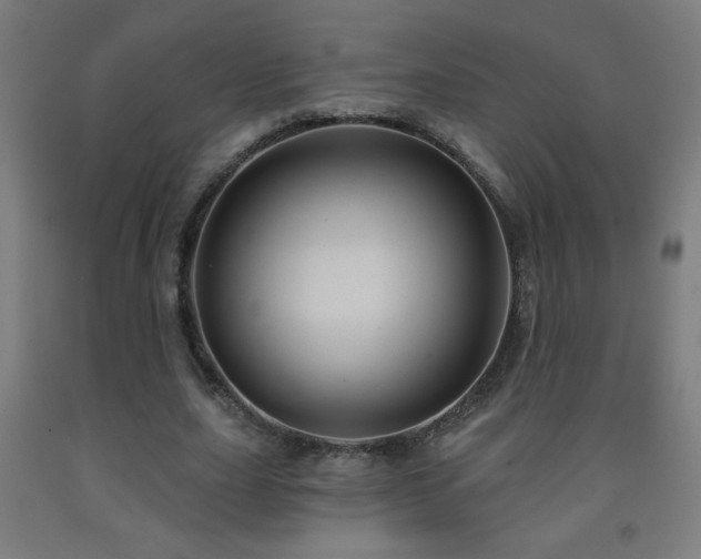 X0000093260631200709261732
