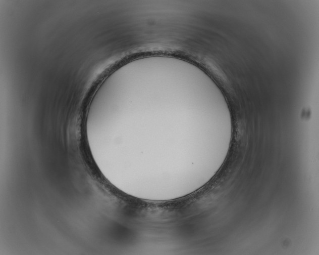 X0000093260632200709261732