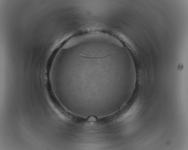 X0000093260634200709261732