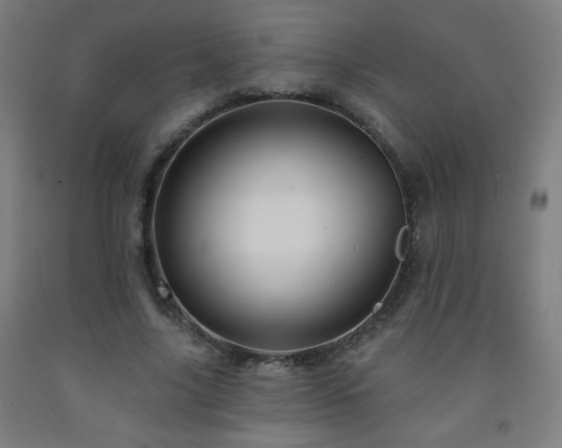 X0000093260635200709261732