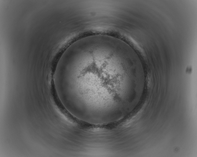 X0000093260637200709261732