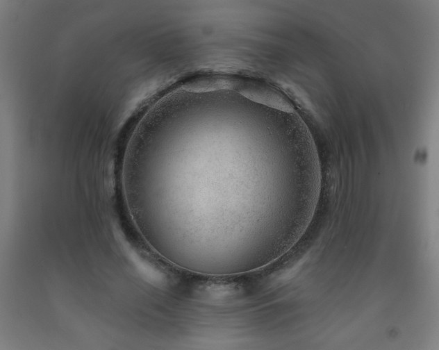 X0000093260638200709261732
