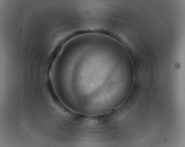 X0000093260640200709261732
