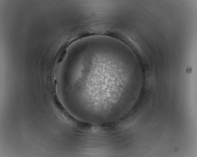 X0000093260641200709261732