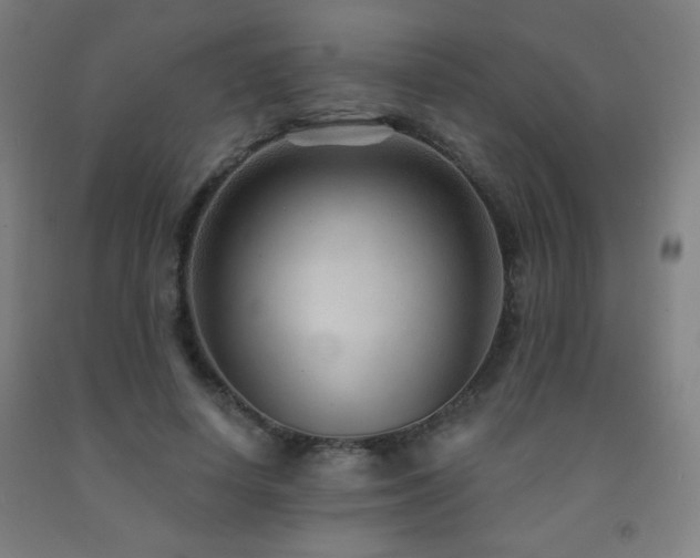 X0000093260642200709261732