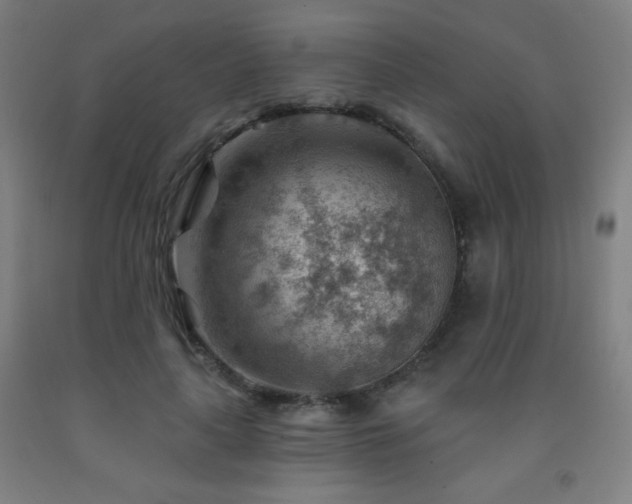 X0000093260643200709261732