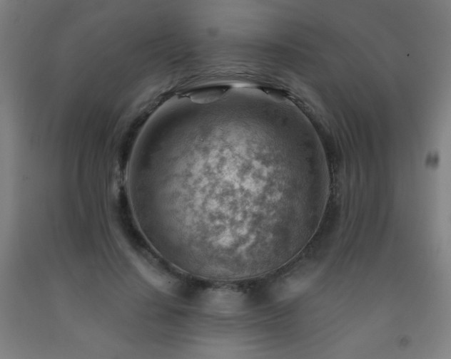 X0000093260644200709261732